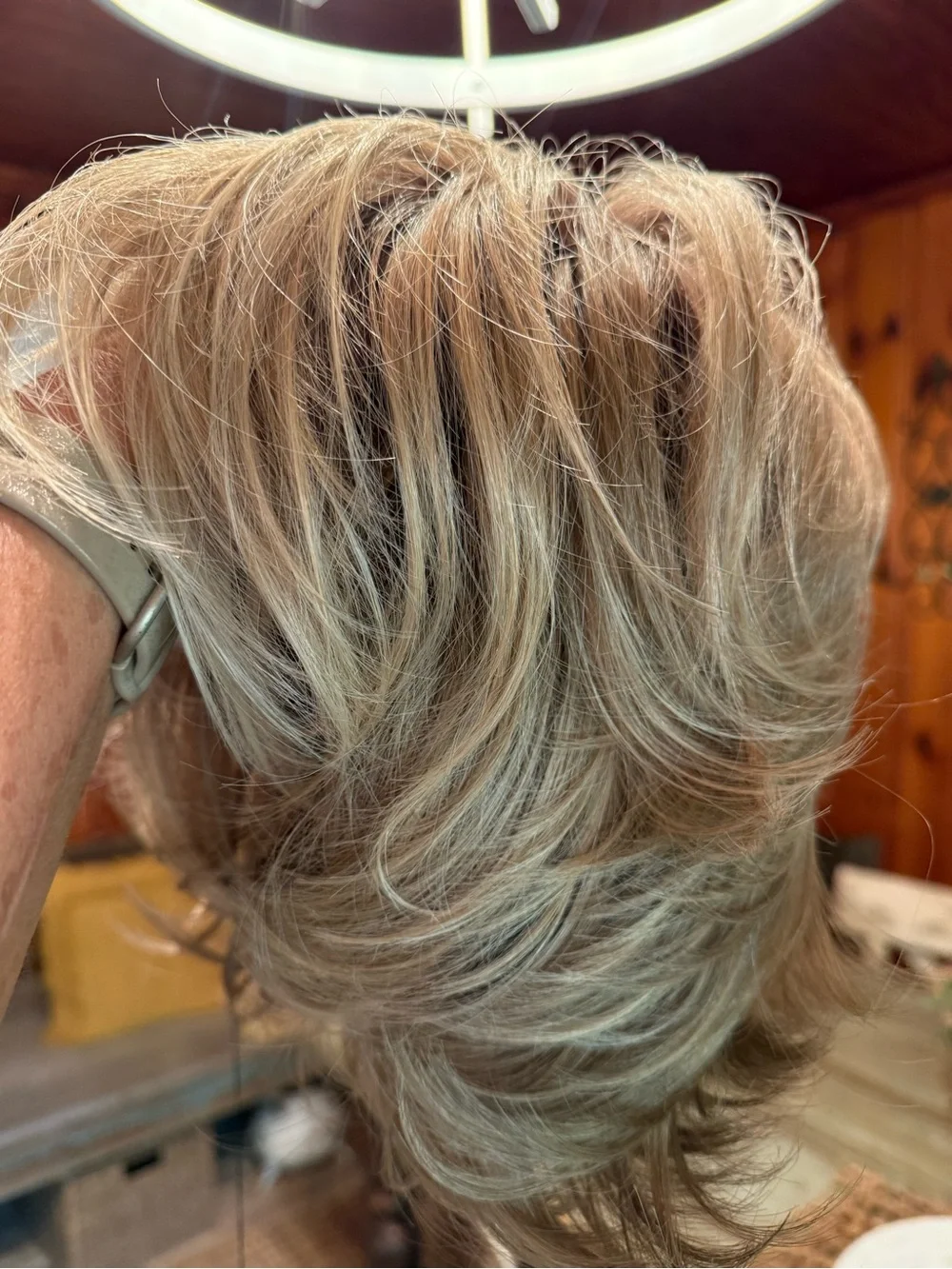 Jon Renau Naomi Wig $240 NWT- never worn